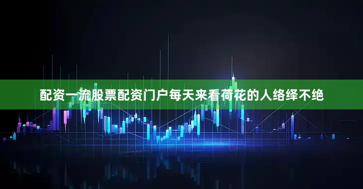 配资一流股票配资门户每天来看荷花的人络绎不绝