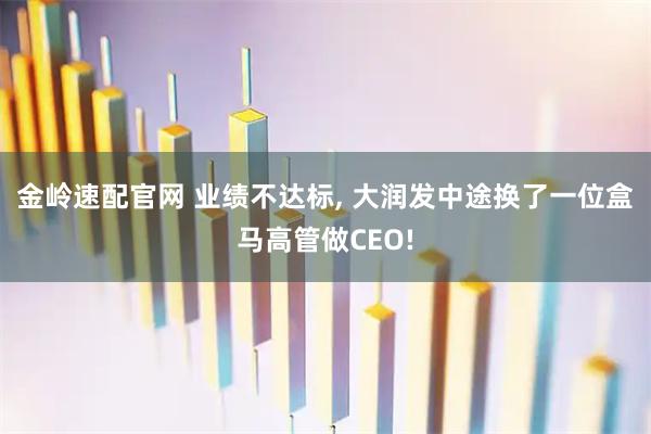 金岭速配官网 业绩不达标, 大润发中途换了一位盒马高管做CEO!